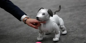 Peliharaan-Robot-Anjing-Jadi-Tren-Unik-Di-China